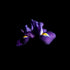 Purple Iris I - Floral Art Prints